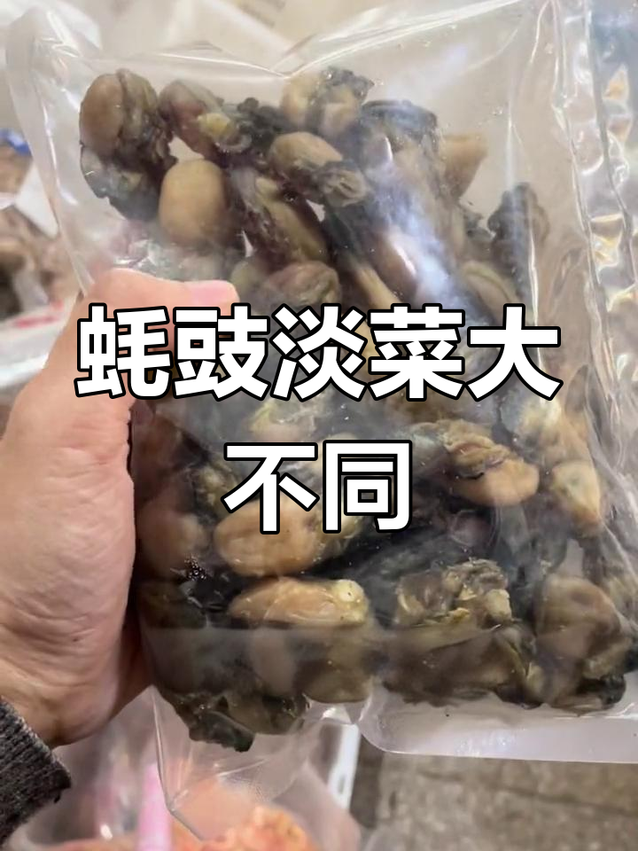 蚝豉与淡菜的区别解析