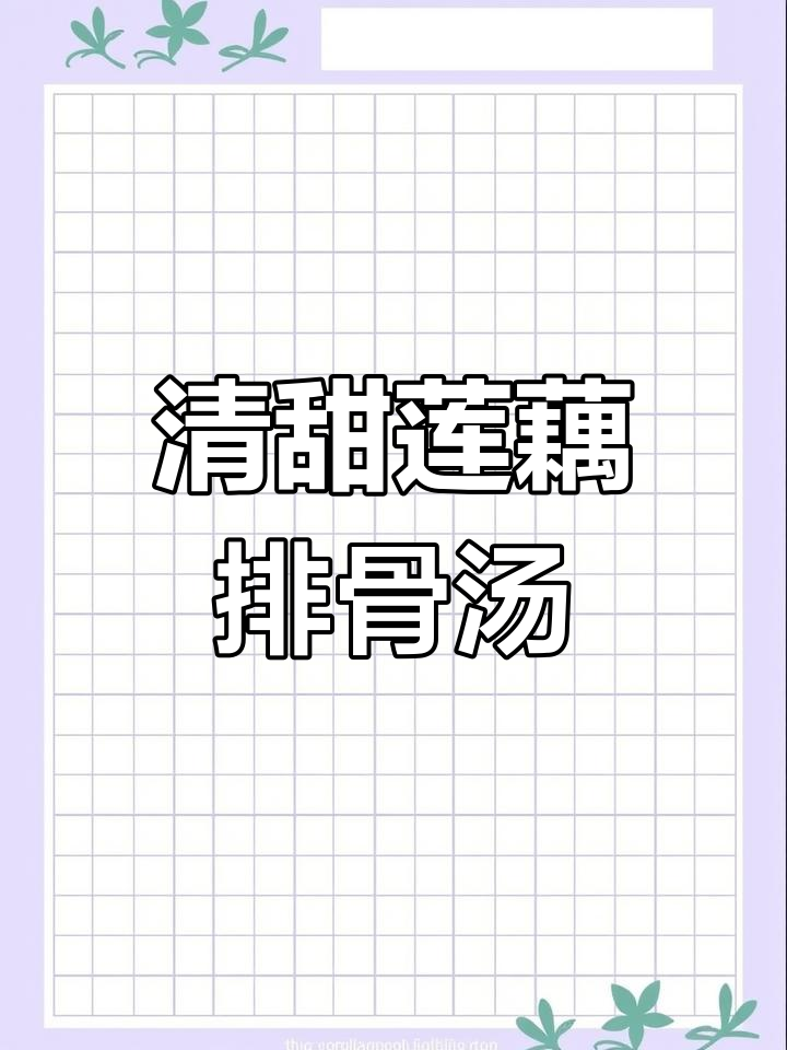 莲藕排骨汤,秋季滋补美味做法大揭秘