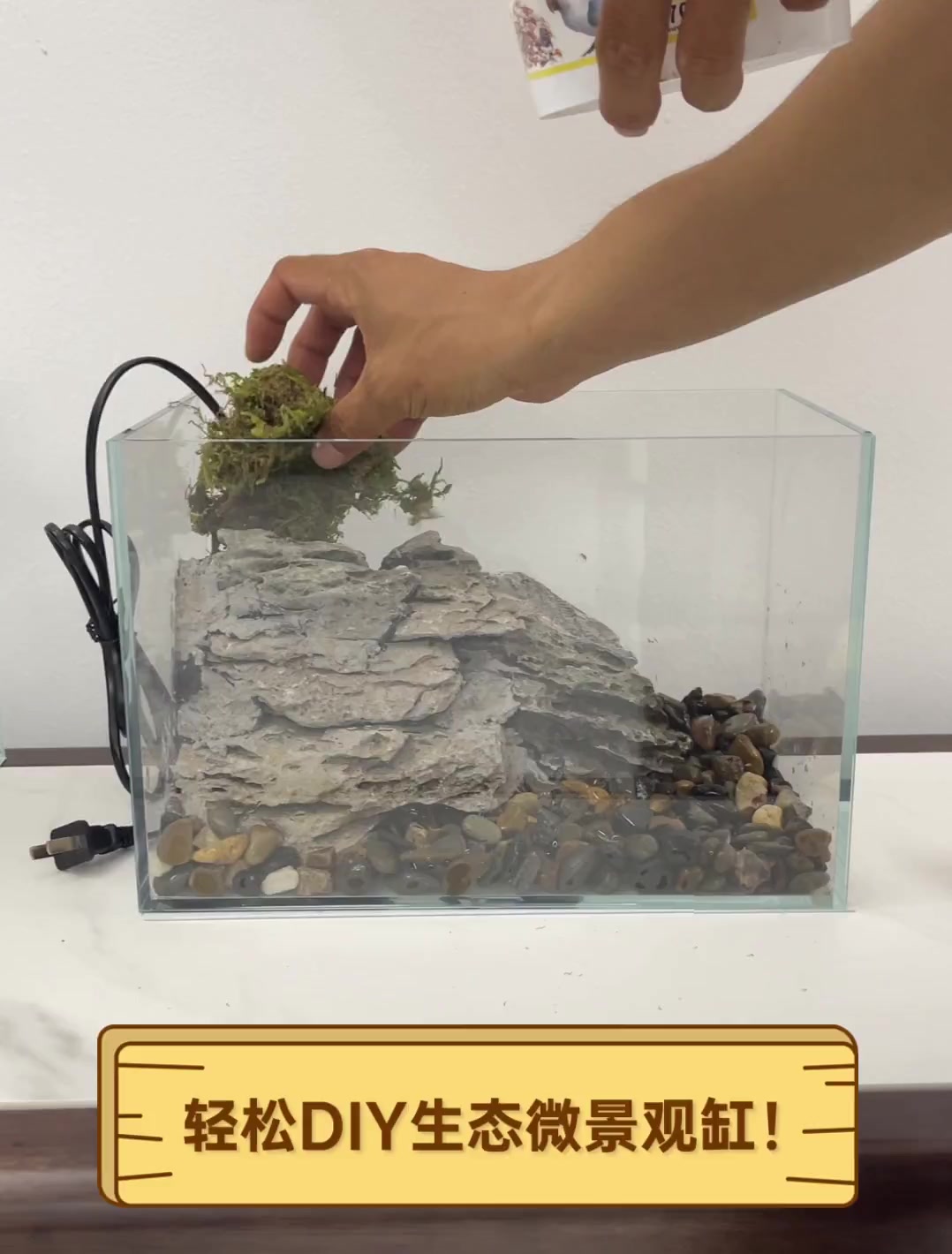 轻松DIY生态微景观缸!