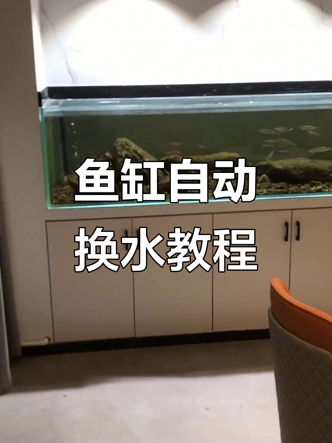 自动换水系统揭秘：如何让鱼缸保持清洁