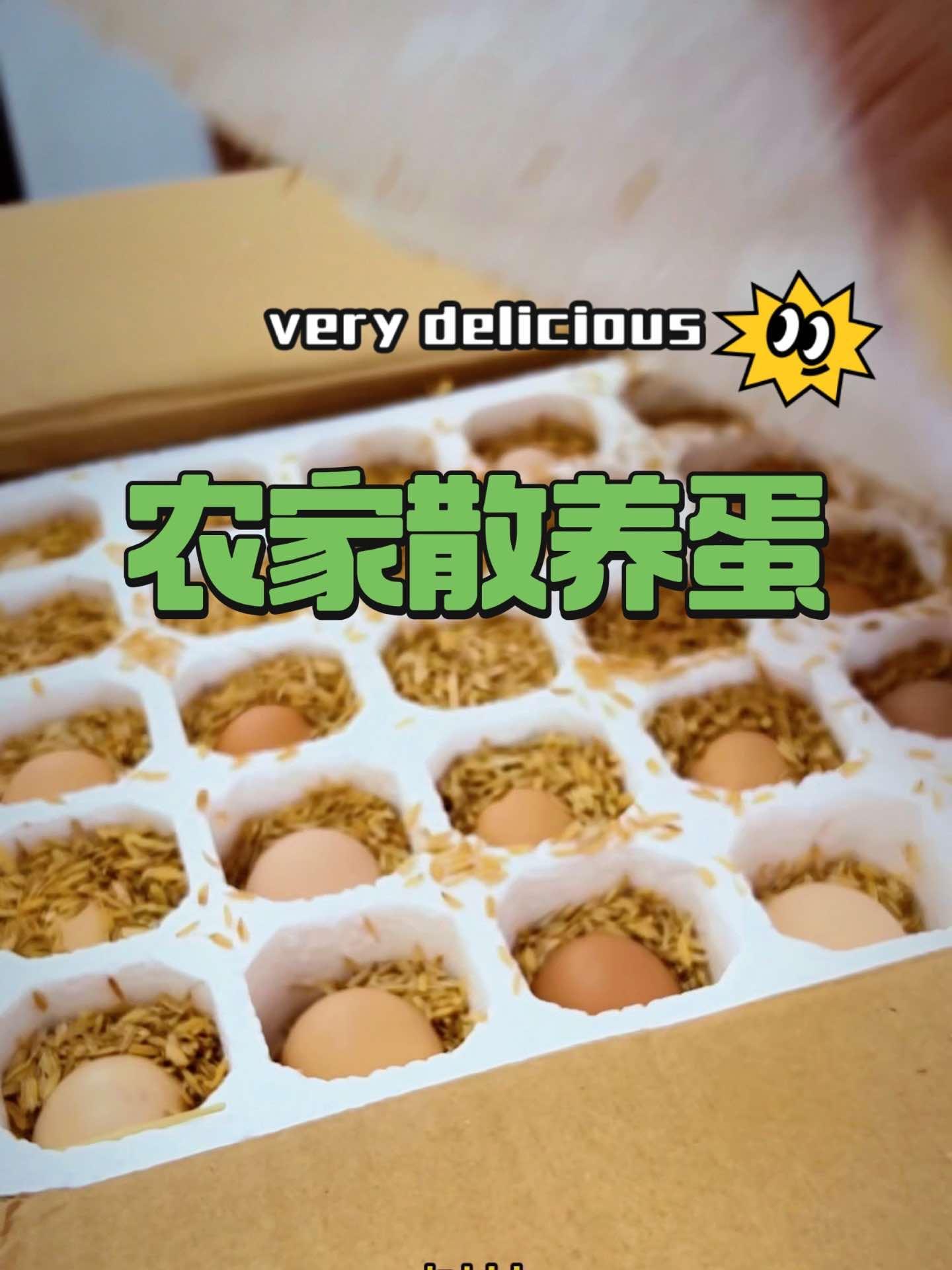 农家散养土鸡蛋 皮厨大叔美食