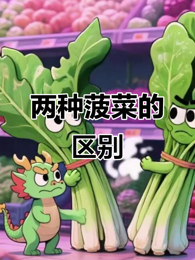尖叶菠菜和圆叶菠菜到底有啥不同?口感、营养全解析