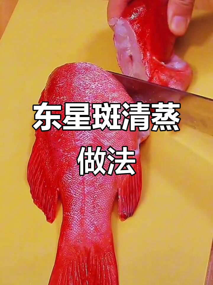 清蒸东星斑，简单又美味！