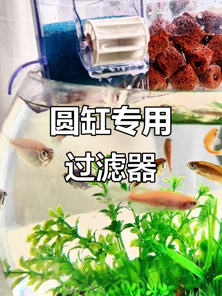 圆形鱼缸过滤器：双层过滤、增氧降噪，轻松维护水质