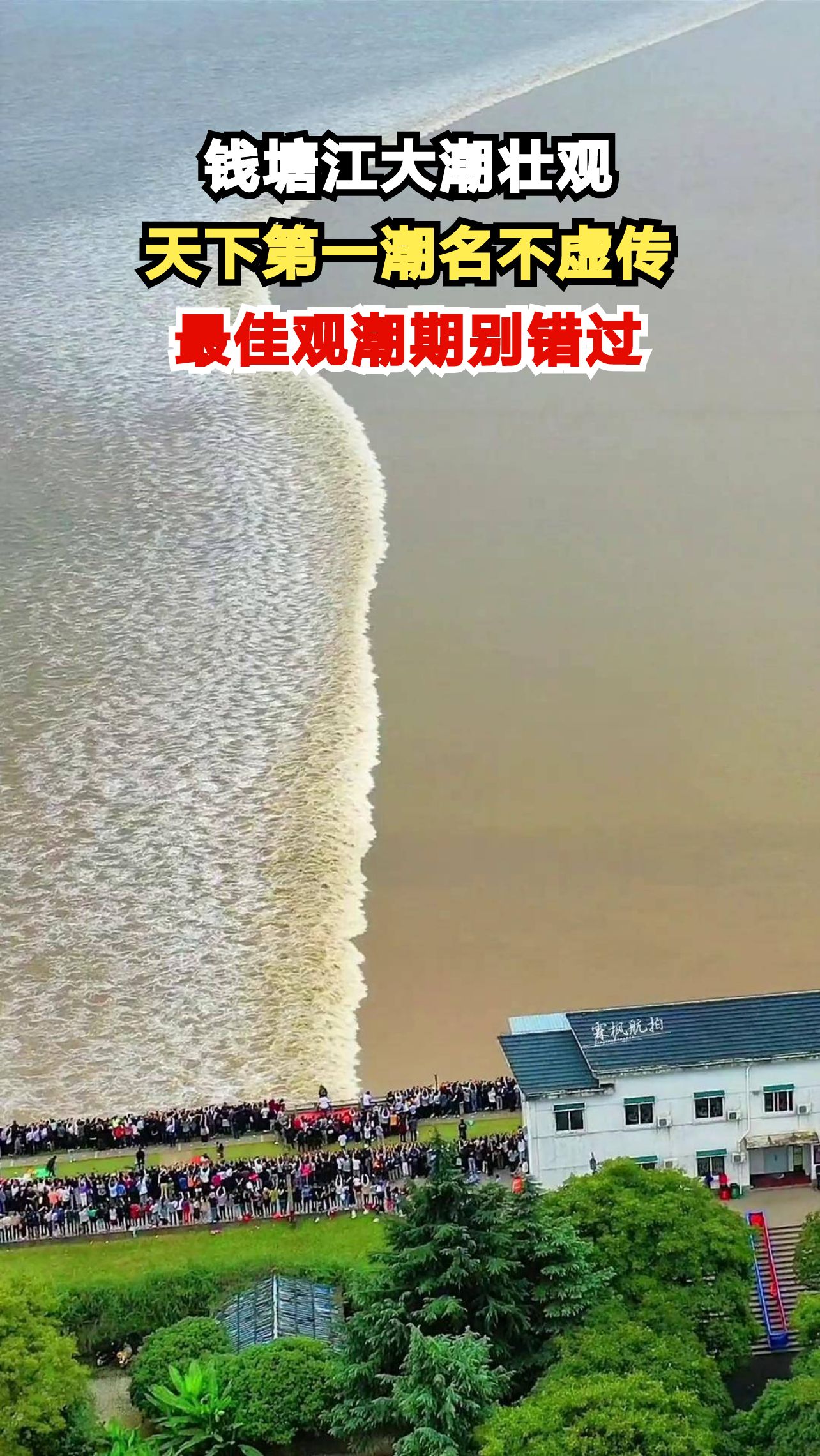 震撼！钱塘江大潮来袭，你敢近距离感受吗？