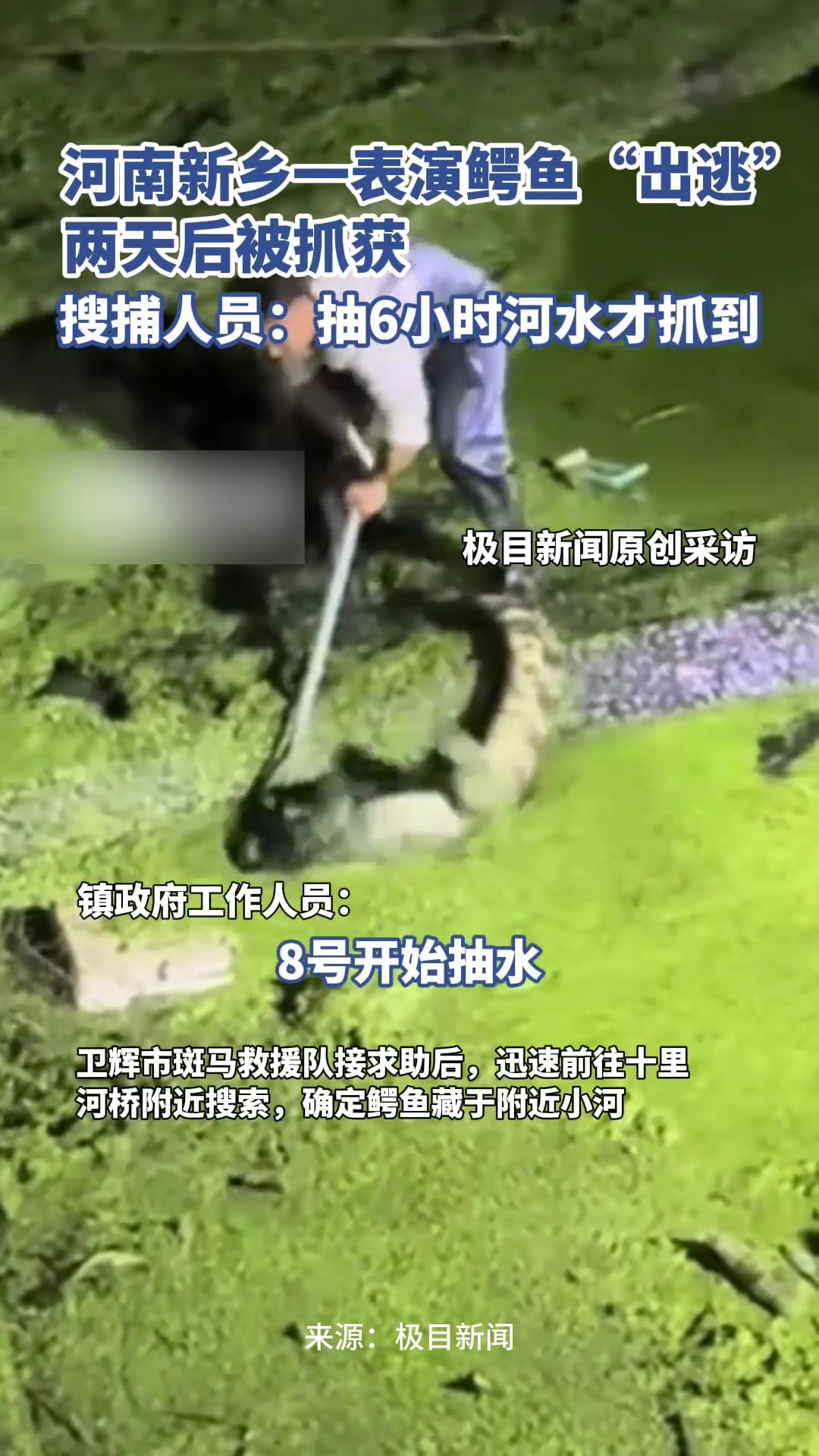 河南新乡一表演鳄鱼“越狱”，两天后搜捕人员抽6小时河水才将其抓获