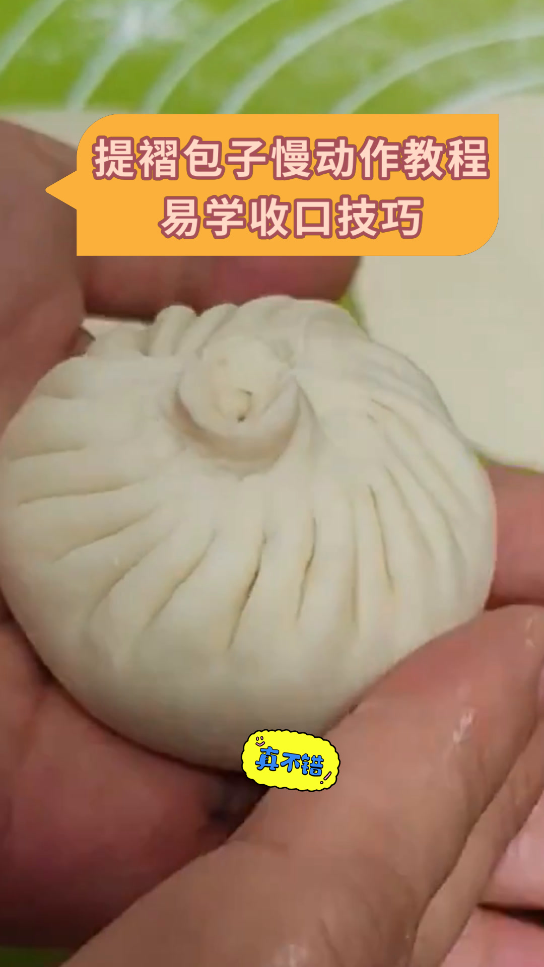 提褶包子慢动作教程易学收口技巧
