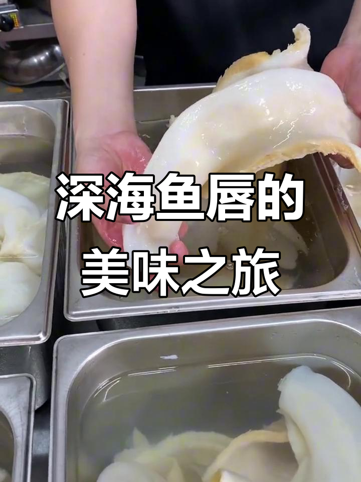 深海鱼唇,炖汤红烧皆美味,与海参齐名,深受喜爱
