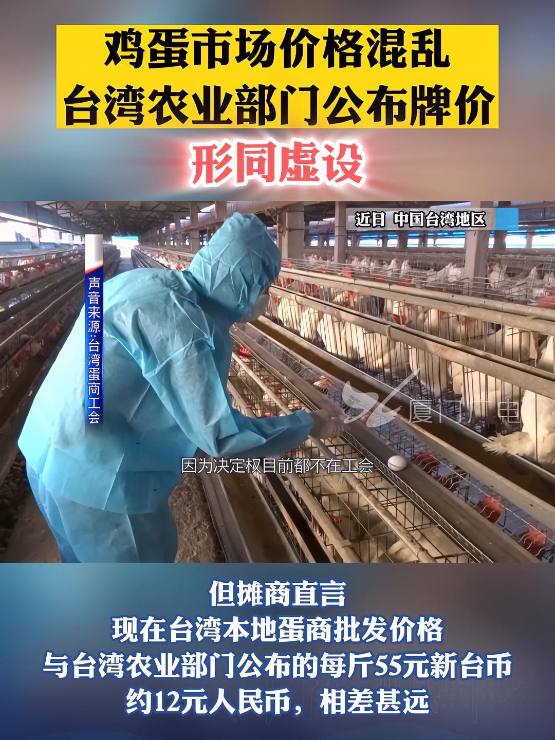鸡蛋市场价格混乱!台湾农业部门公布牌价形同虚设 台湾 鸡蛋 价格