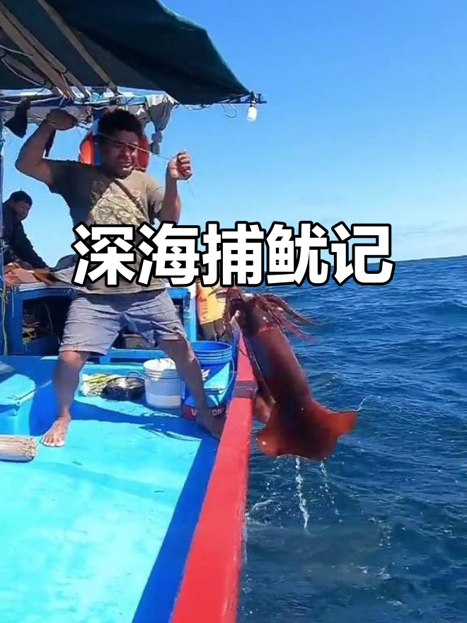 智利深海捕鱿,洪堡大鱿鱼成当地美味