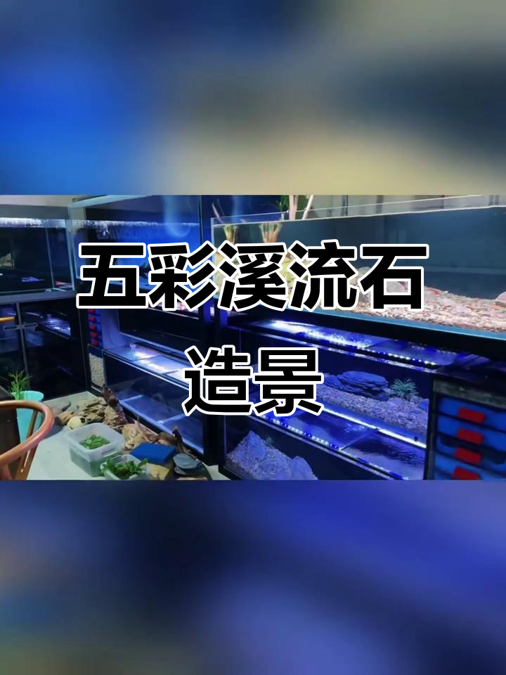 鱼缸造景大变身,五彩溪流石与绿植完美搭配