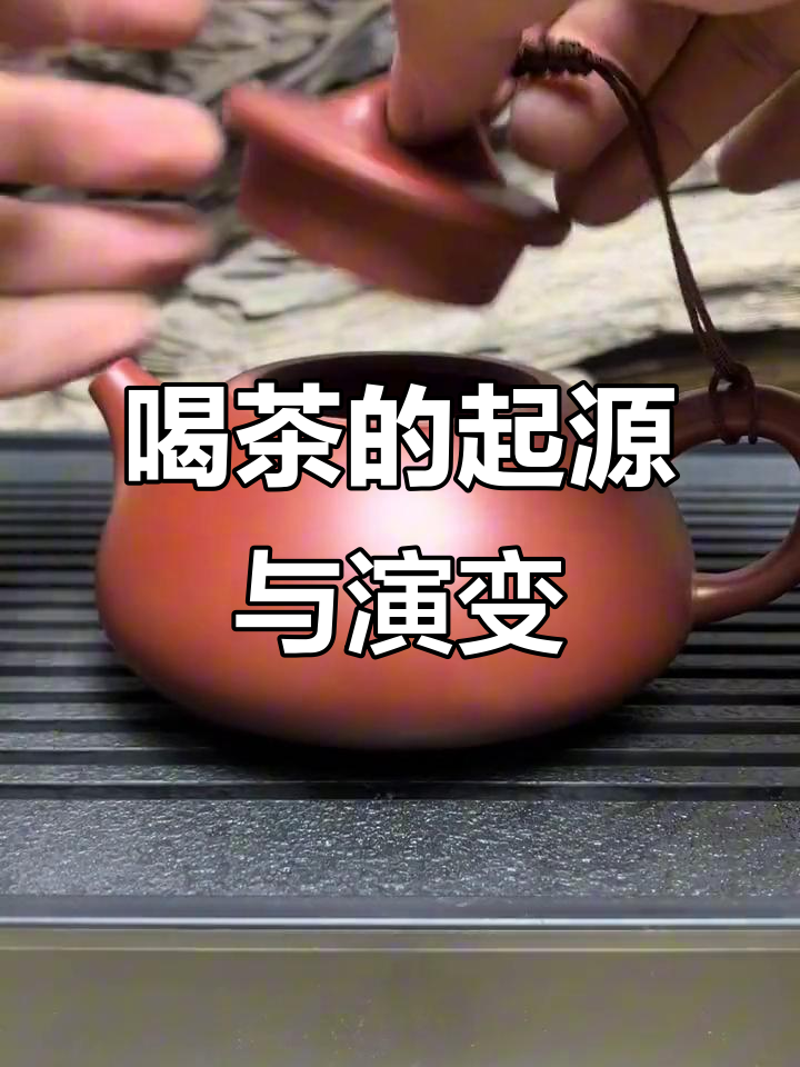 中国茶文化如何影响欧洲,从下午茶到贵族风尚