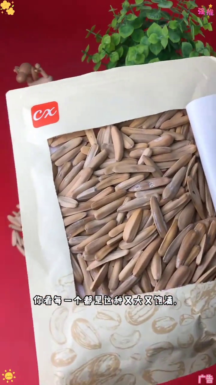 牙签瓜子 瓜子 网红牙签瓜子