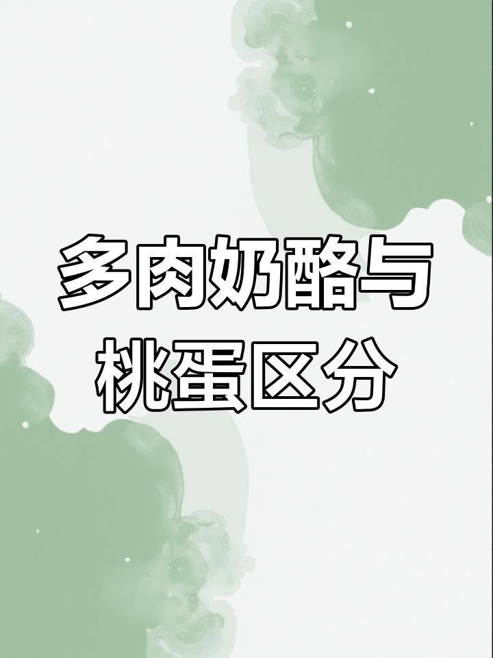 奶酪和桃蛋多肉植物区别大揭秘,新手必看!
