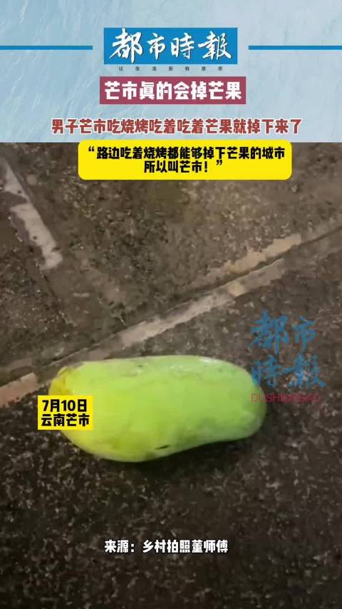 近日,云南芒市。一名男子在芒市路边和朋友开心地吃着烧烤时,不经意间旁边的芒果树掉下了一个芒