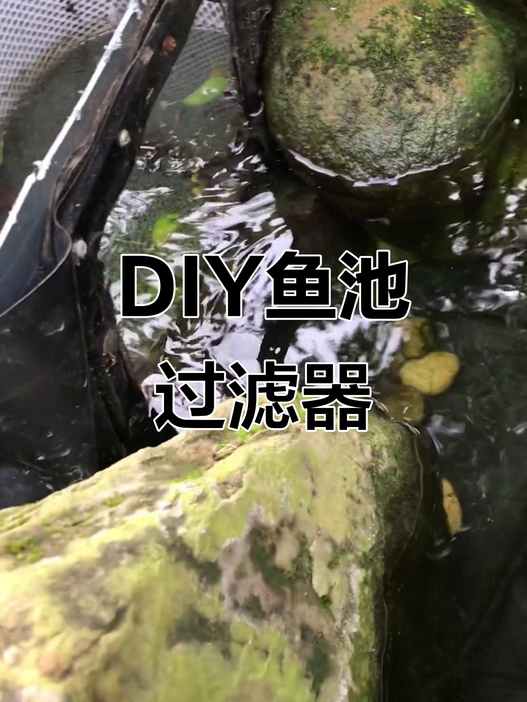 鱼池过滤与防水DIY，UV灯安装技巧大揭秘