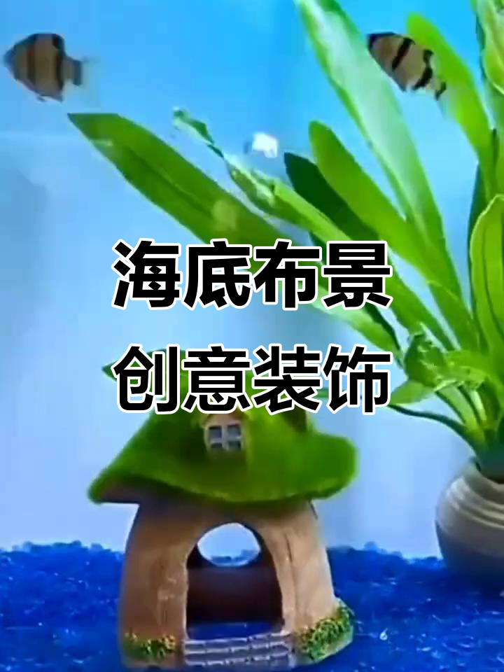 鱼缸假山造景,青苔蘑菇屋打造自然海底世界