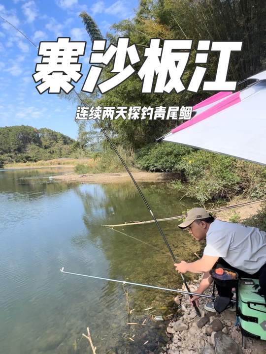 钓青尾鲴超好玩又美味，野钓乐趣多