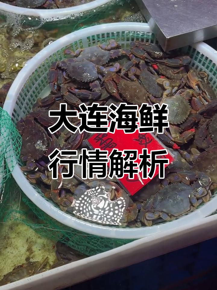 正月十五大连刘家桥市场海鲜大揭秘，梭子鱼最值得推荐
