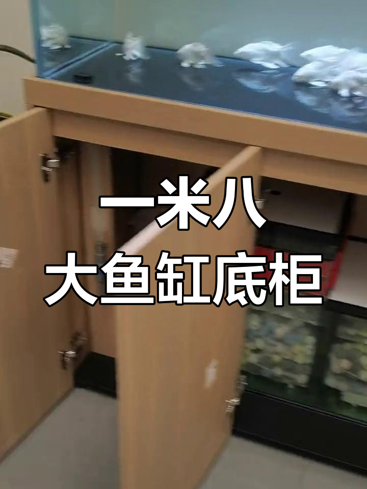 生态板鱼缸底柜承重实测,一米八金鱼缸轻松搞定