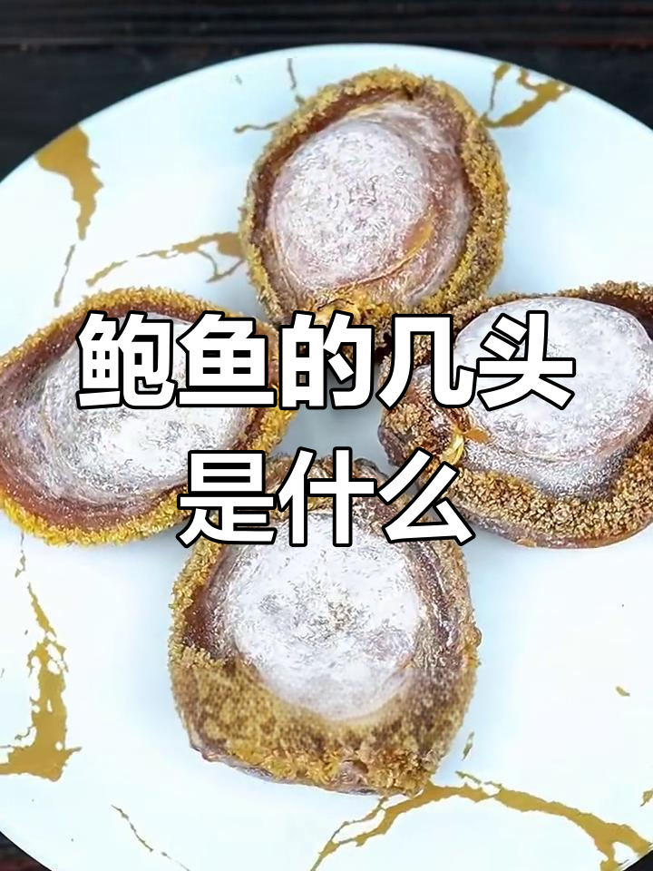 鲍鱼头数到底是什么意思?原来是这样!