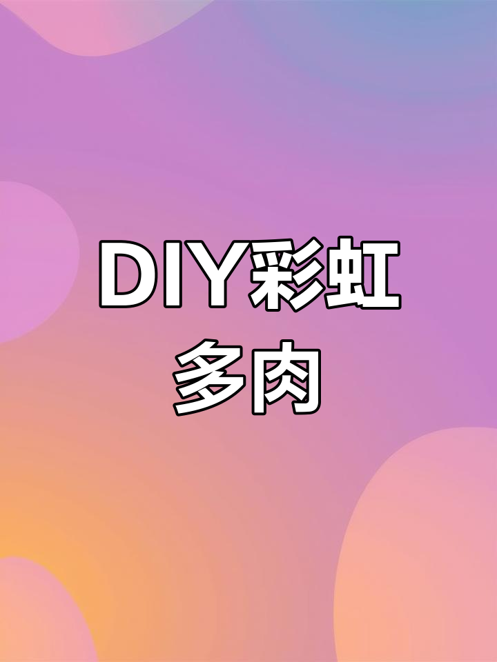 手工制作彩虹奶酪多肉