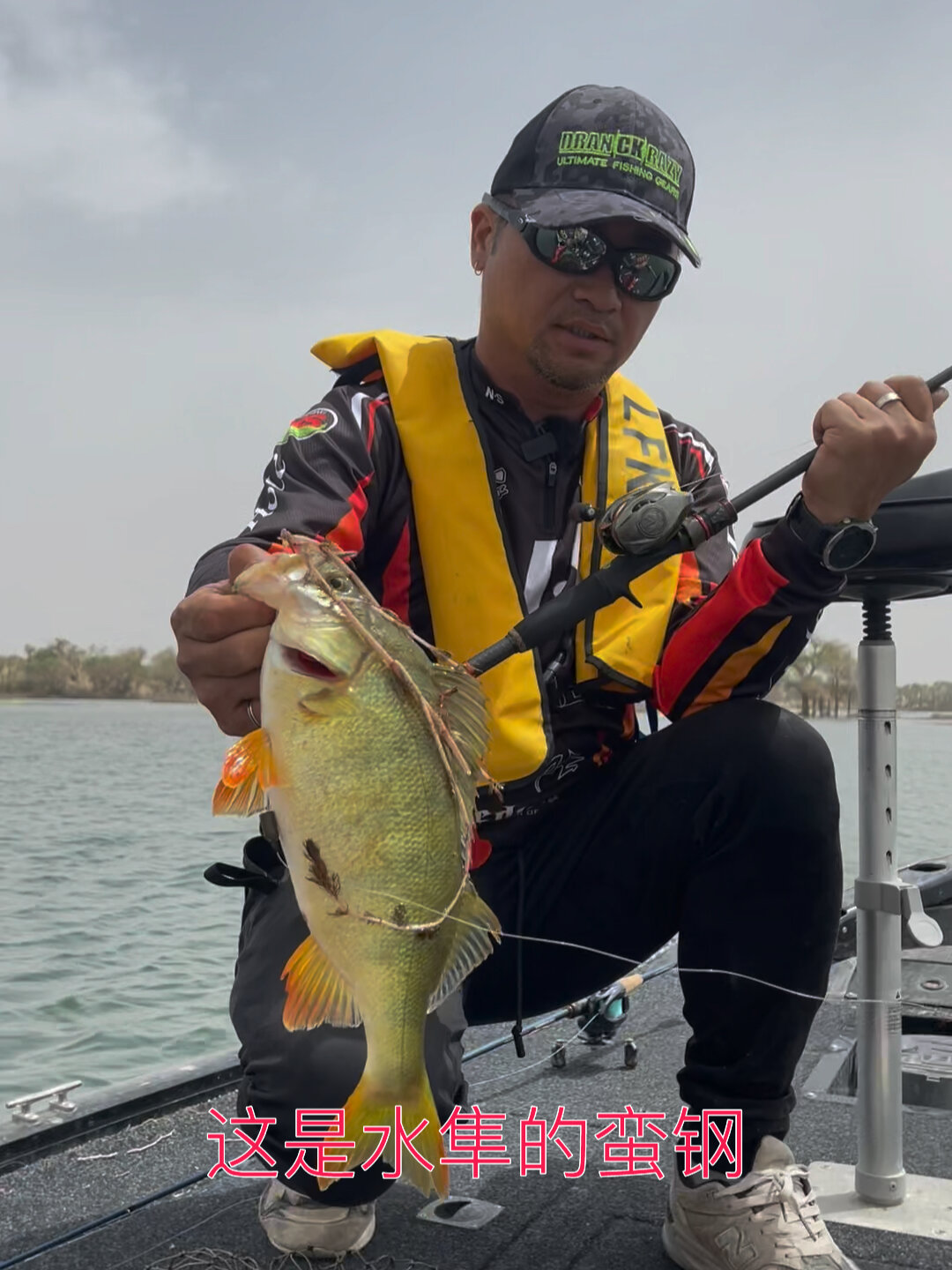 大美新疆罗布淖尔湿地,冷水鱼之五道黑