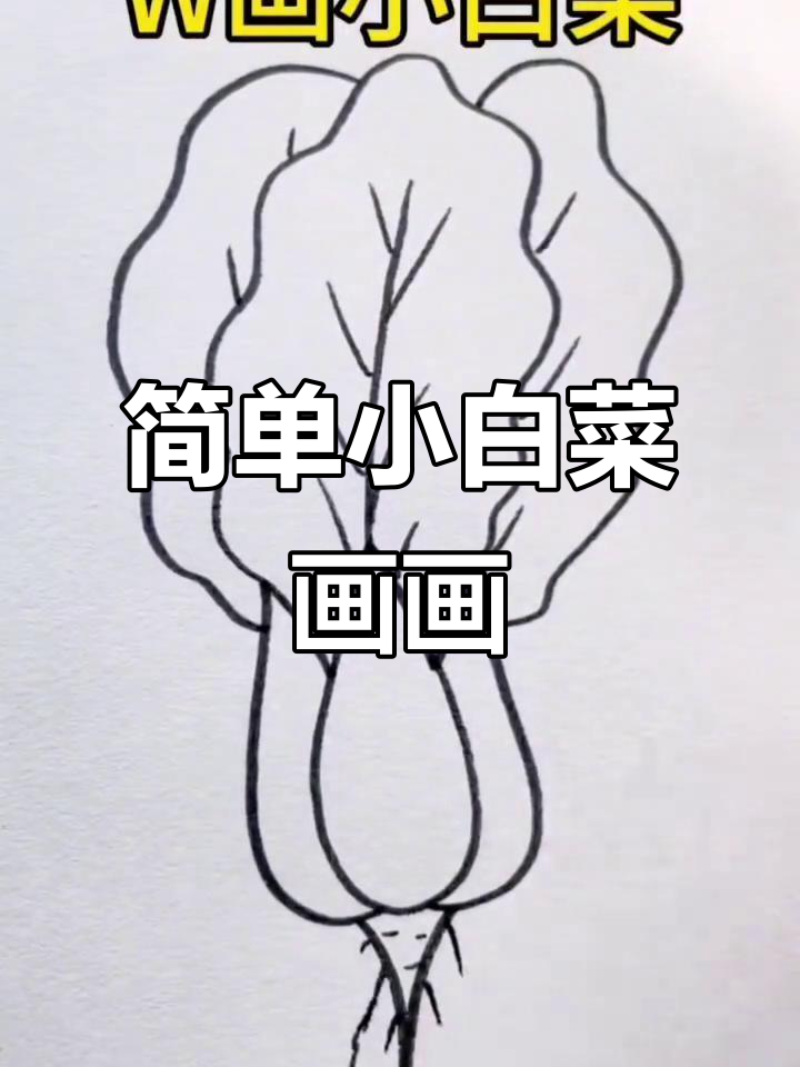 小白菜简笔画，轻松学会画可爱蔬菜