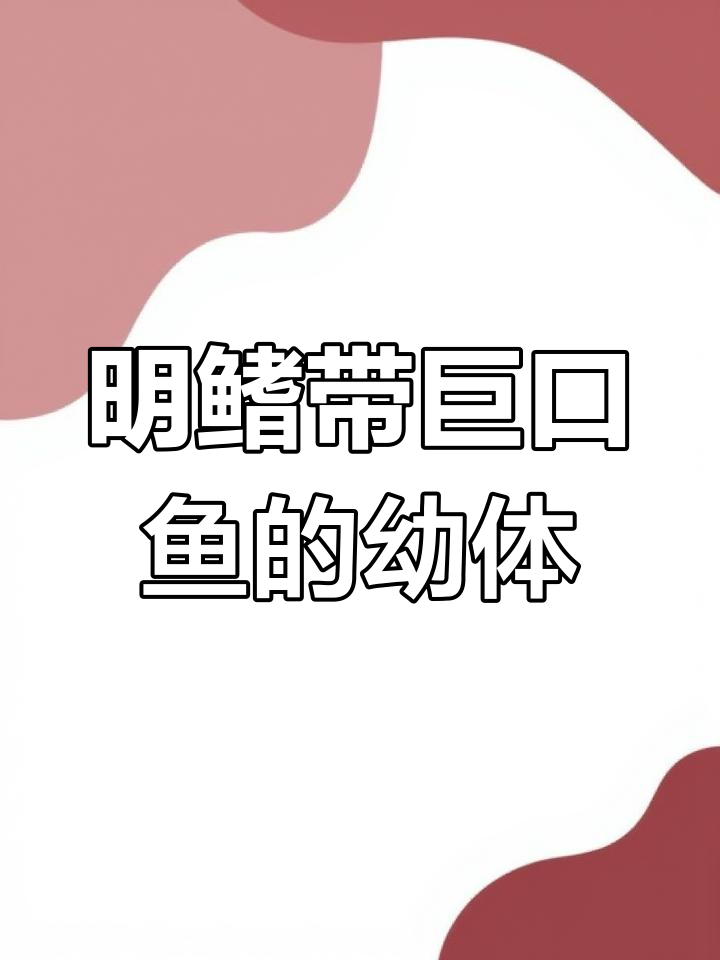 明鳍袋巨口鱼幼体揭秘:扁平身体与发达器官的深海之旅