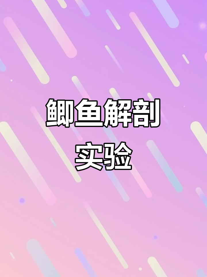 鲫鱼解剖大揭秘:从背鳍到心脏的全方位观察