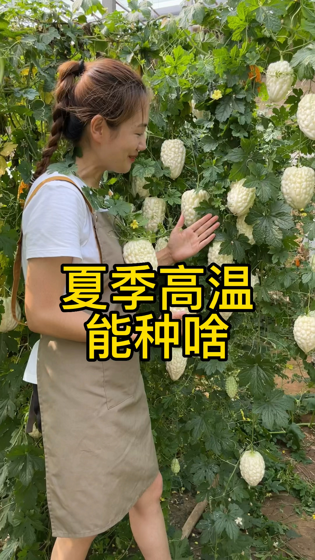 适合夏季高温种植的蔬菜