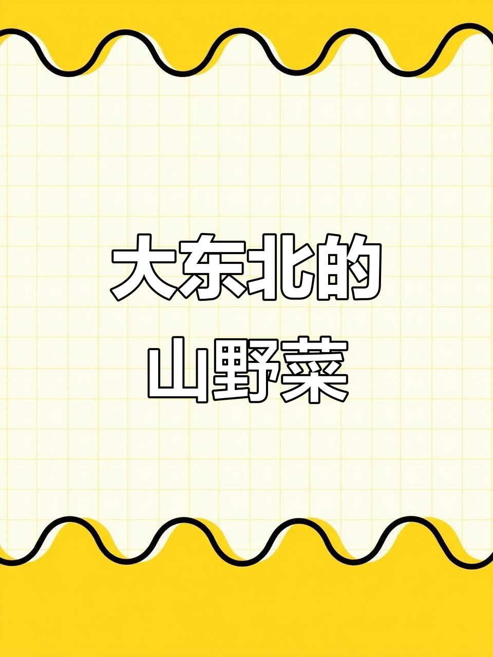 东北山野菜大丰收,采点给城里家人尝尝鲜!