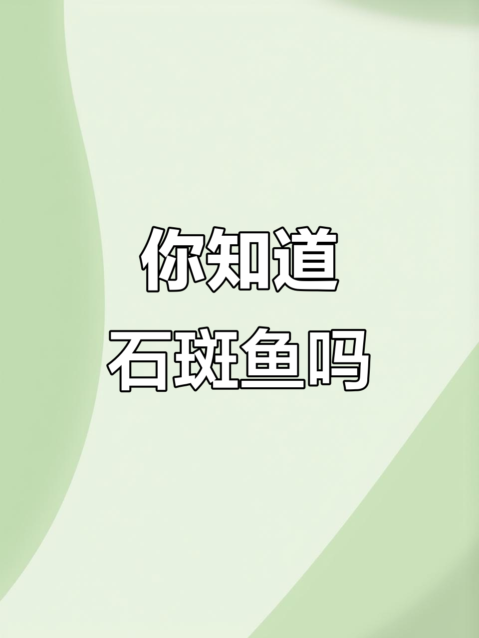 石斑鱼种类大揭秘,你了解几种?