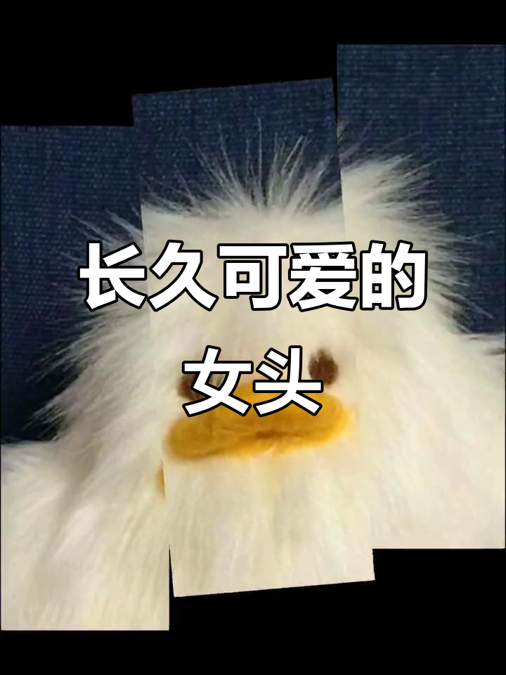 有没有能长时间使用的可爱女生头像?