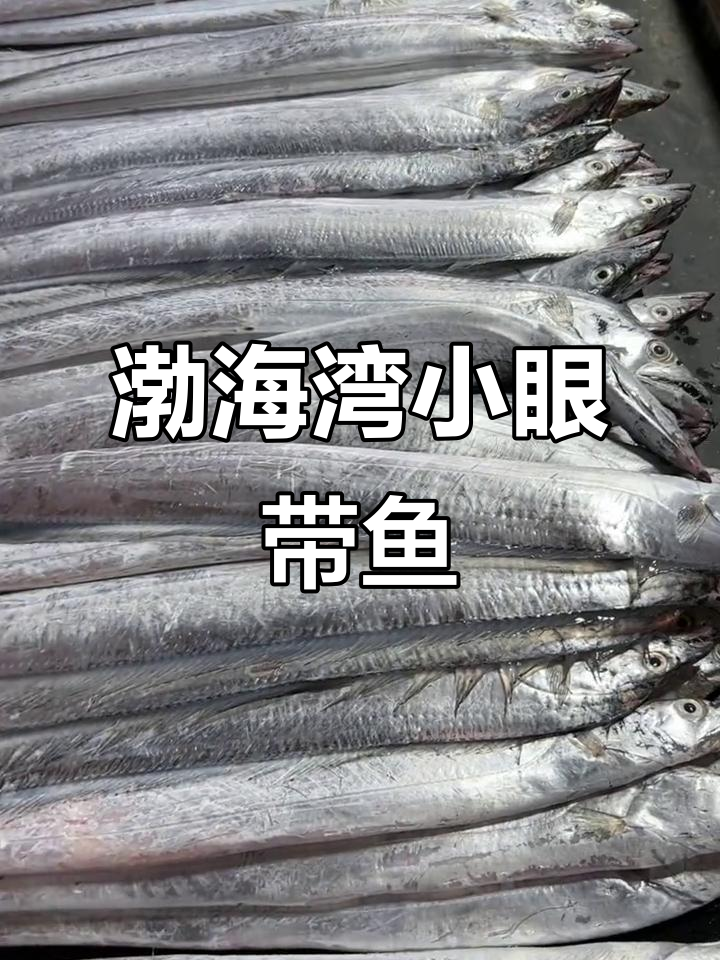 正宗渤海湾小眼带鱼，新鲜又美味
