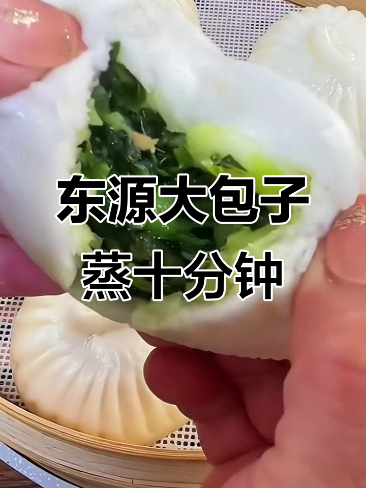 扬州东源包子，蒸十分钟就能吃！鲜美多汁的肉包和青菜包