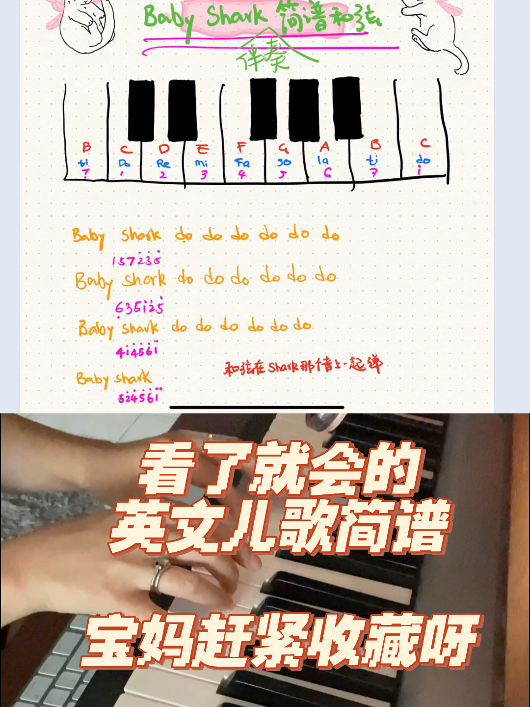 英文洗脑神曲 鲨鱼宝宝 简谱伴奏和弦