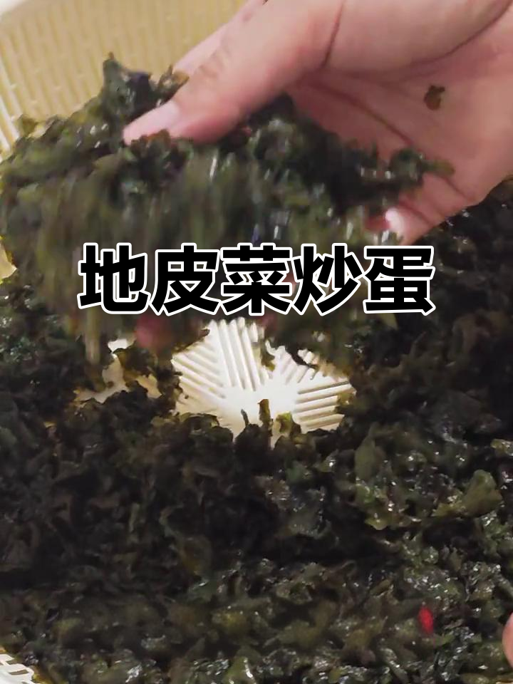 雨后美味:地皮菜炒鸡蛋,简单又下饭