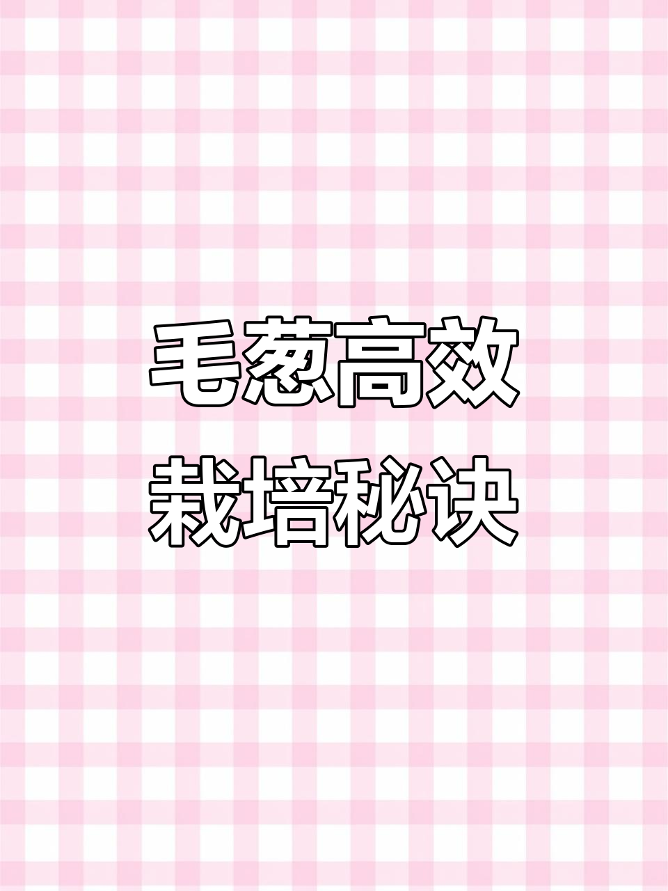 毛葱种植技巧:如何选择种子与栽种方法,让葱长得更好