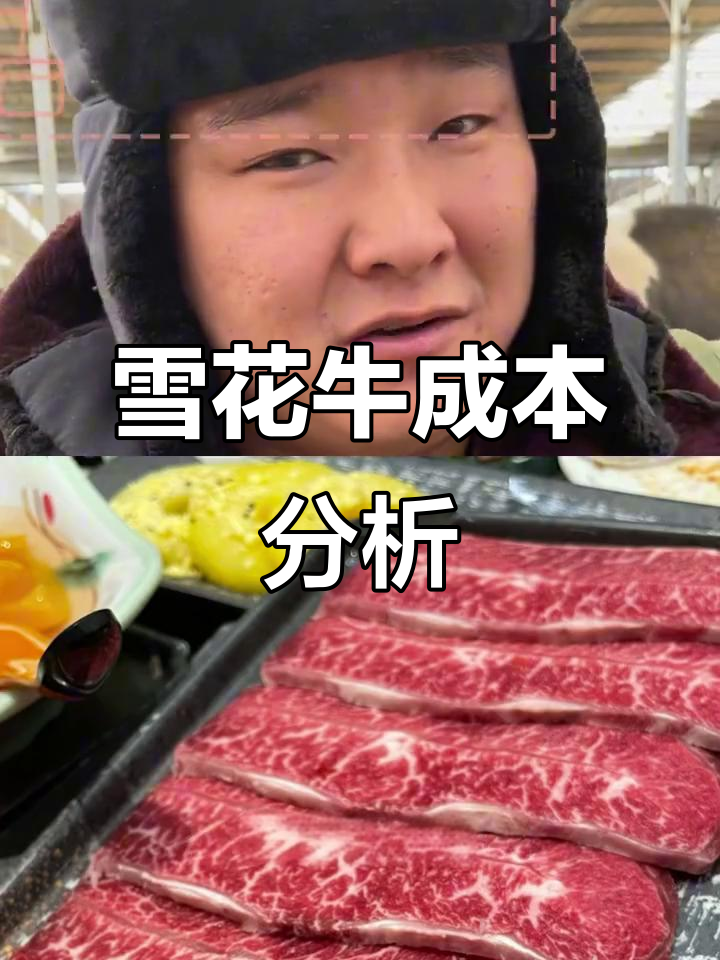 雪花牛肉成本揭秘:为什么这么贵?
