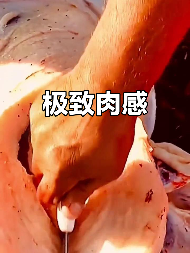见过这么肥的牛肉吗？野外实拍，简单烹饪就能做出顶级美味