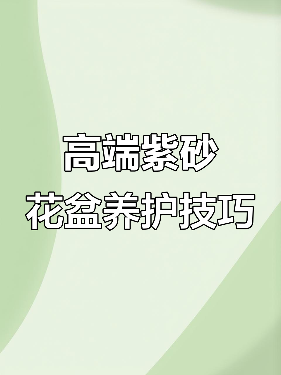 紫砂花盆养多肉,透气性更强,黑牡丹与黑玫瑰的秘密