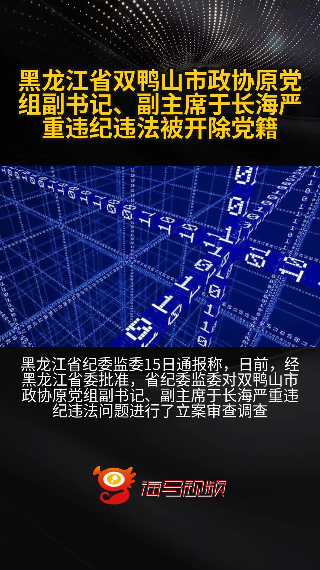 黑龙江省双鸭山市政协原党组副书记、副主席于长海严重违纪违法被开除党籍