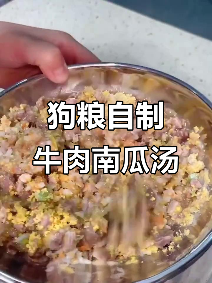 牛肉汤饭,狗狗吃得超开心!