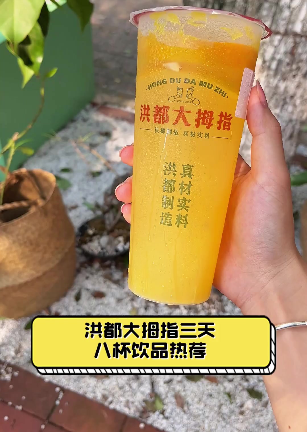 洪都大拇指三天八杯饮品热荐