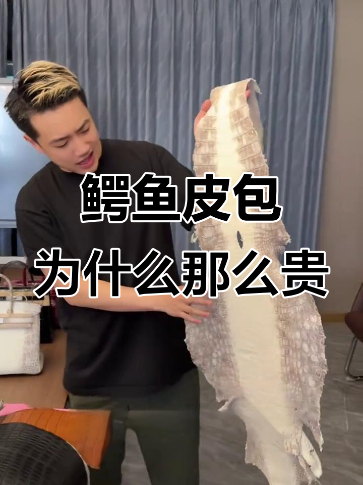 鳄鱼皮包包为何这么贵?成本揭秘与奢侈品营销套路