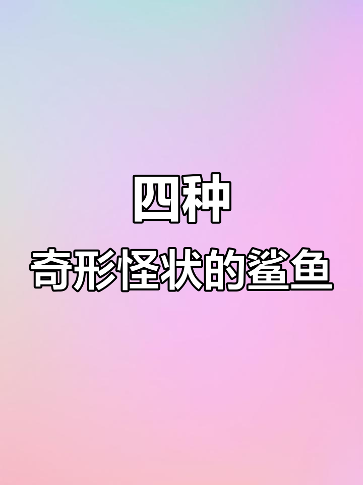 揭秘四种长相怪异的鲨鱼,大眼长尾鲨和锤头鲨最奇特
