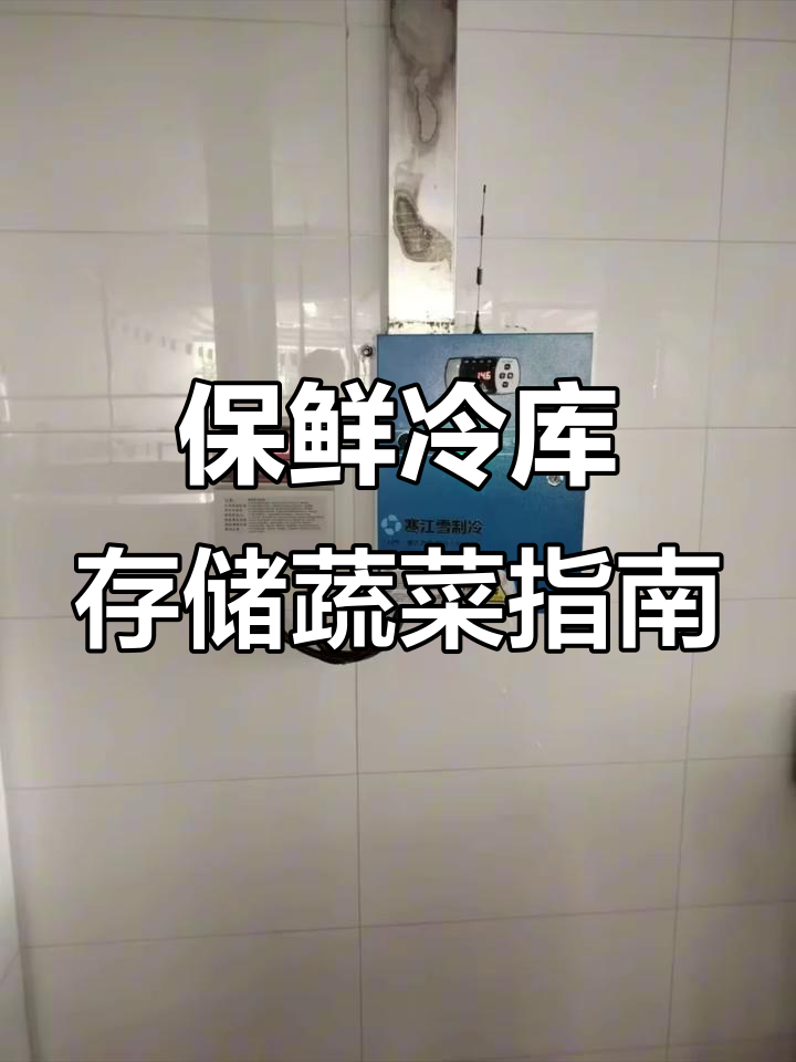 保鲜冷库能存哪些蔬菜?叶菜与根茎类全解析