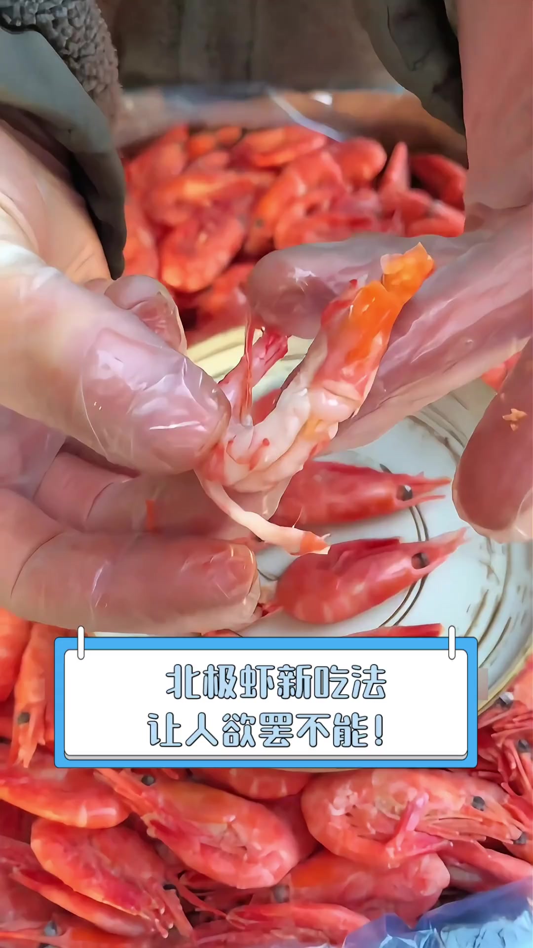 北极虾新吃法,让人欲罢不能!