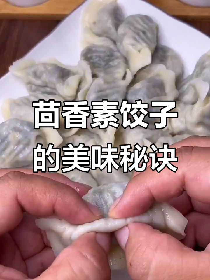 茴香素馅饺子,比肉还好吃!做法超简单